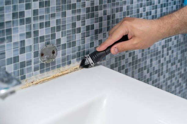 Redington Shores, FL Mold Remediation Company